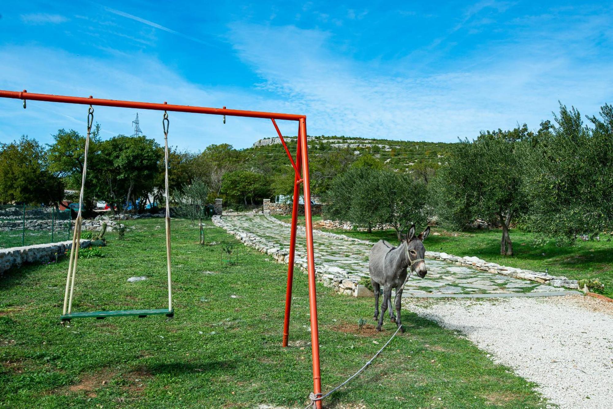 Dalmatian Country House Irena Bruska Exterior photo
