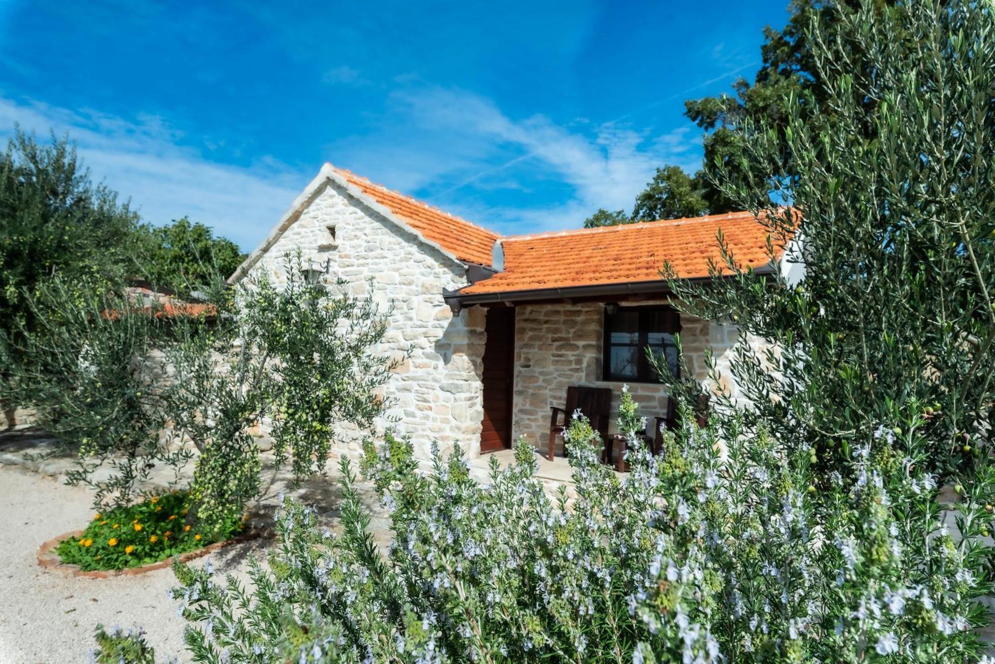 Dalmatian Country House Irena Bruska Exterior photo