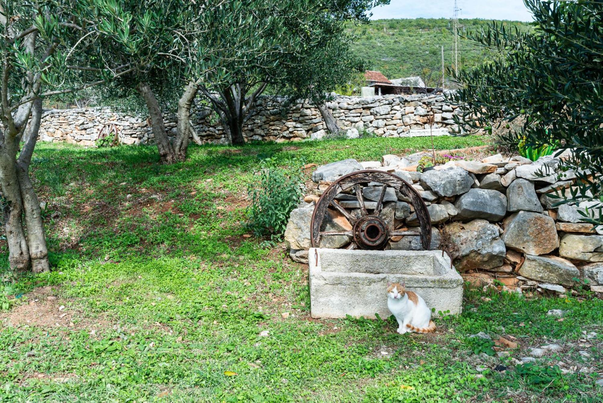 Dalmatian Country House Irena Bruska Exterior photo
